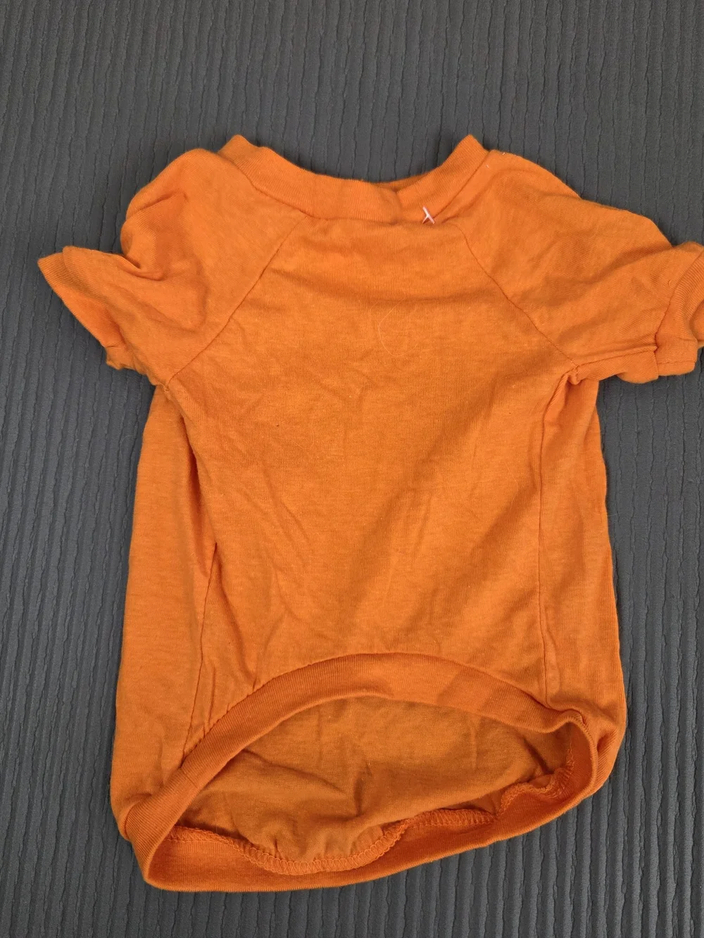 Orange Dogs Medium Halloween Costume Tee - 